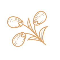 Bar Ristorante Tabacchi Sofia